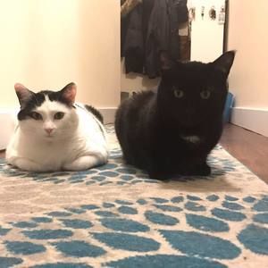 Meet your Posher, Laura